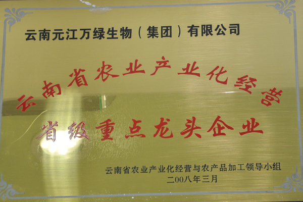 云南省省級(jí)重點(diǎn)龍頭企業(yè)