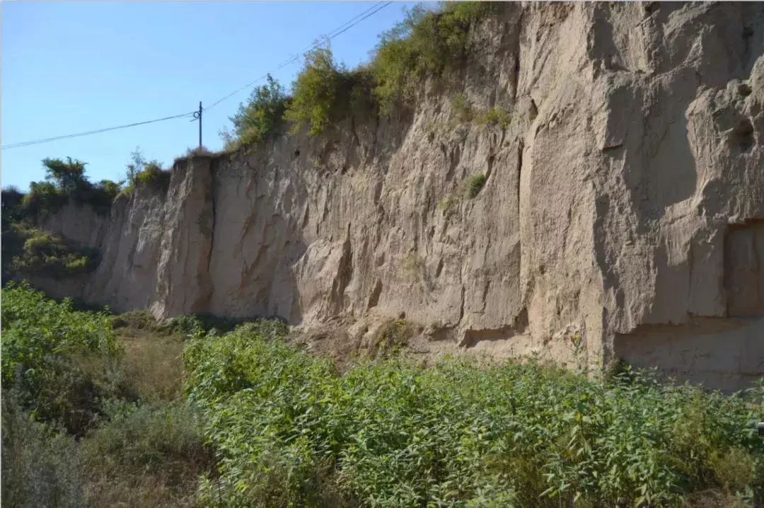 一口氣讀懂大宋定窯(圖32) 一口氣讀懂大宋定窯(圖32)